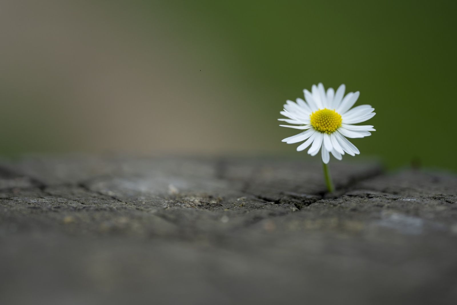 Titelbild Blogbeitrag
