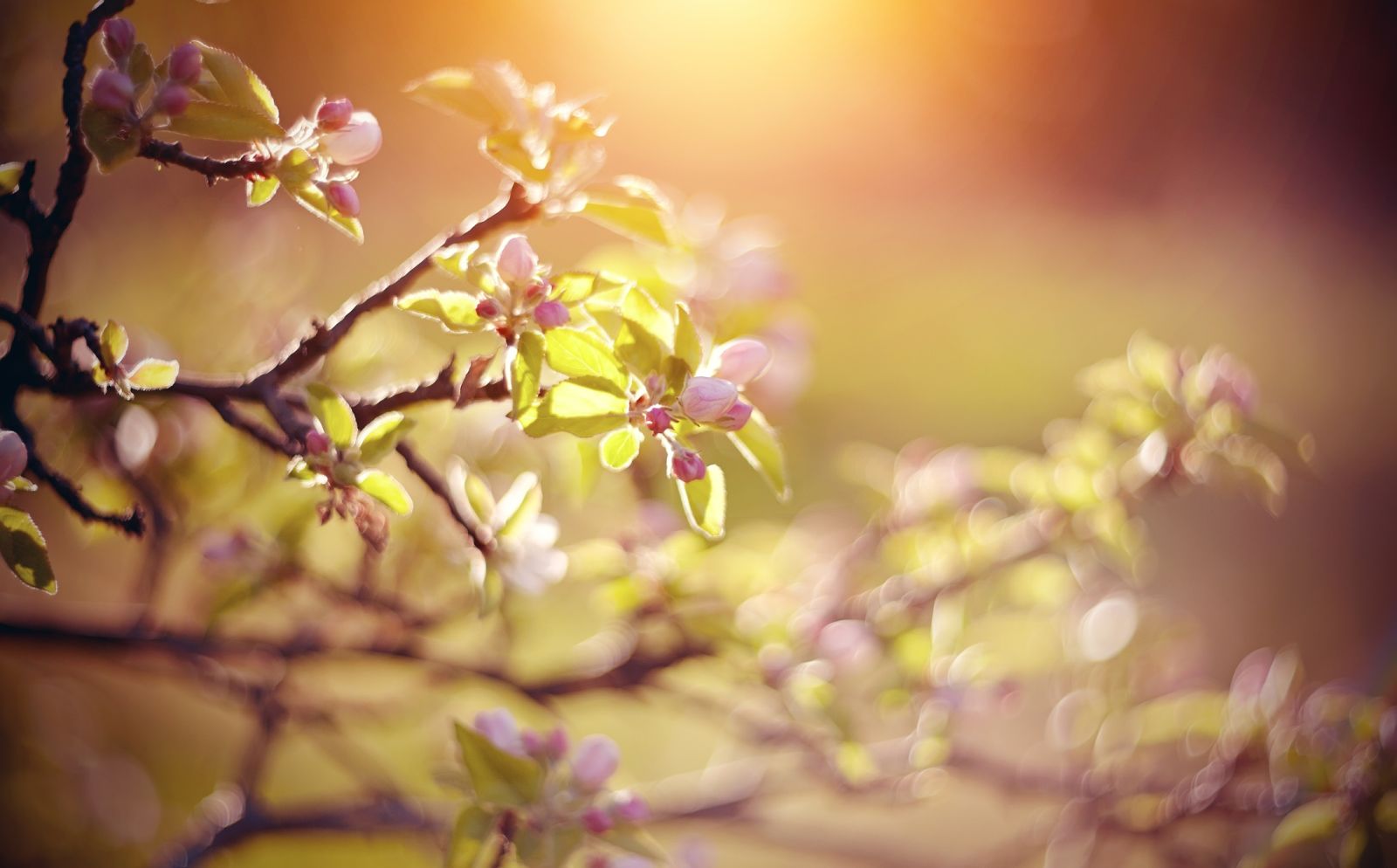 Titelbild Blogbeitrag