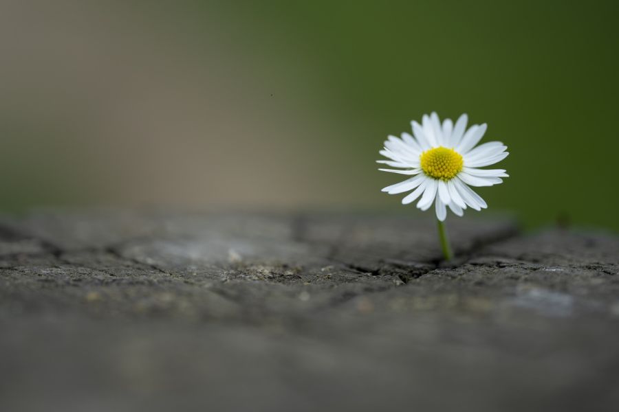 Titelbild Blogbeitrag