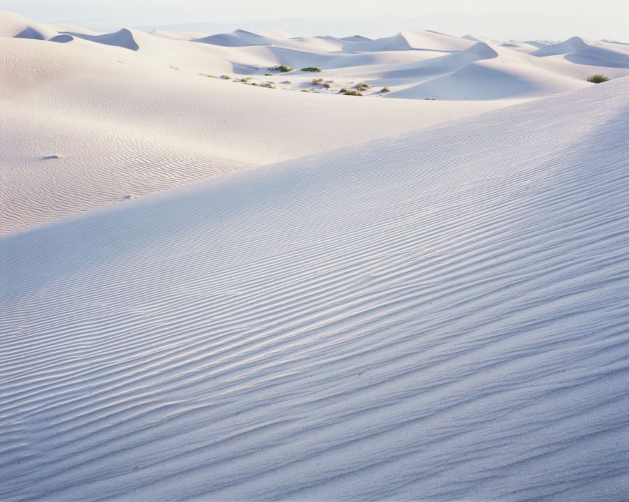 Titelbild Blogbeitrag